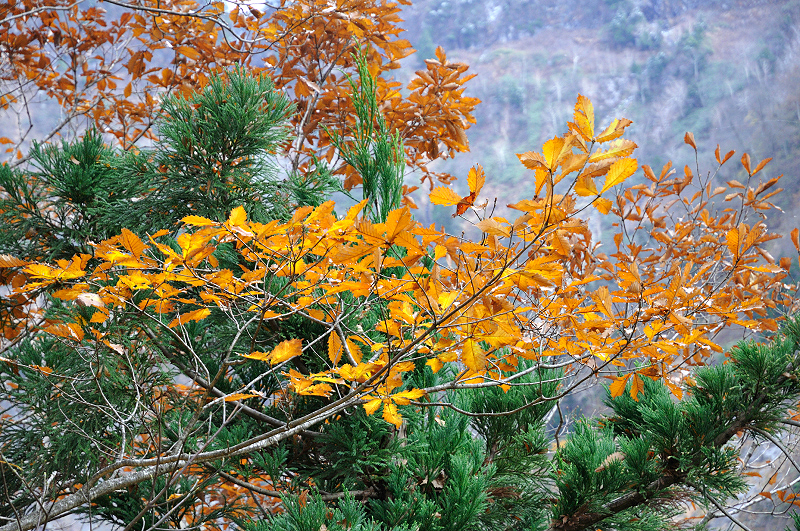 image0193