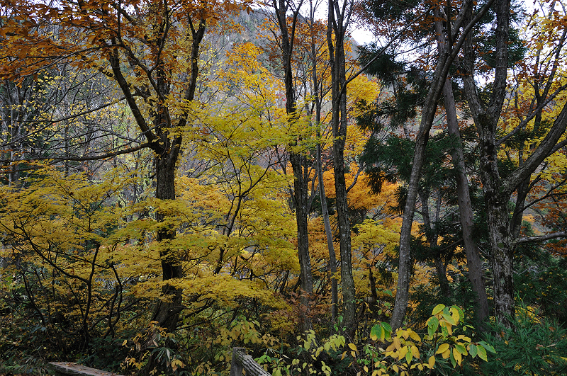image0194