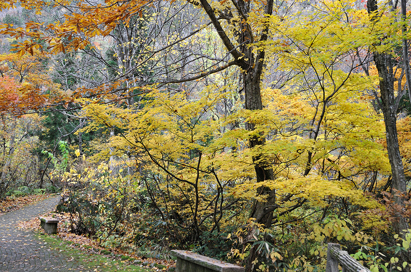 image0196