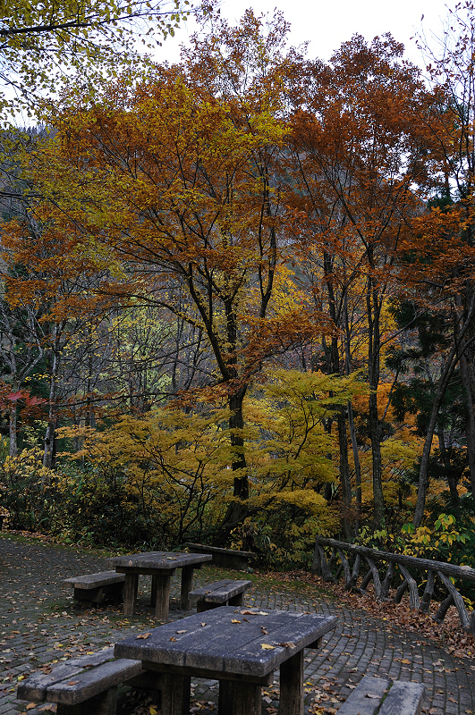 image0197