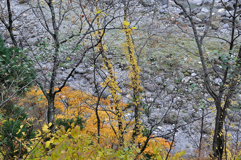 image0198