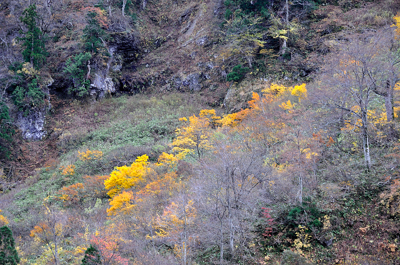 image0199
