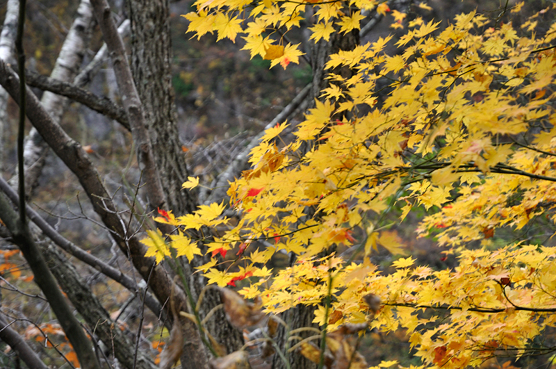 image0201