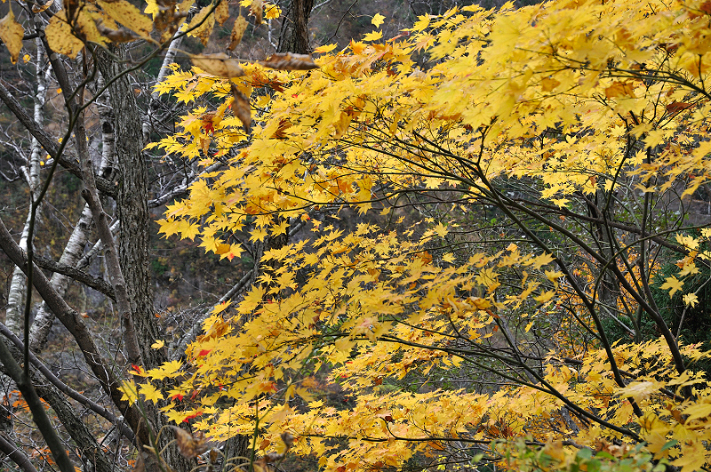 image0202