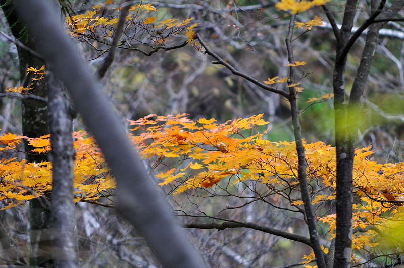 image0203