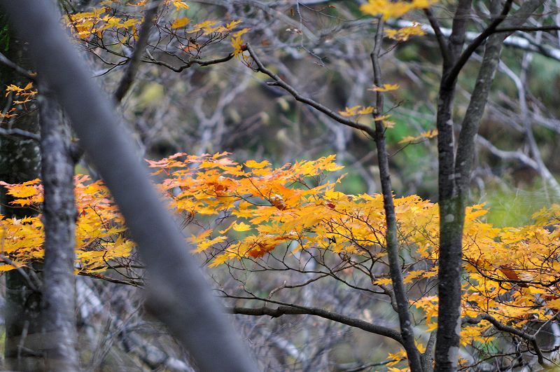 image0206