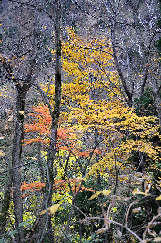 image0210