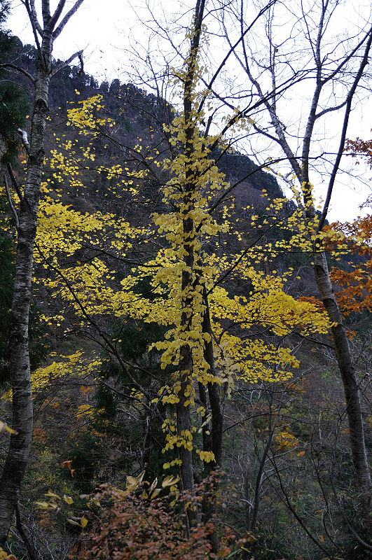 image0211