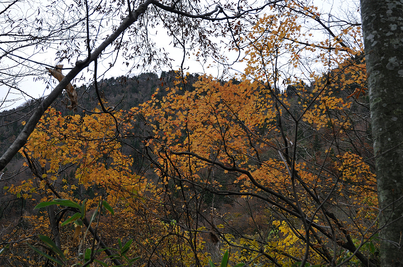 image0213