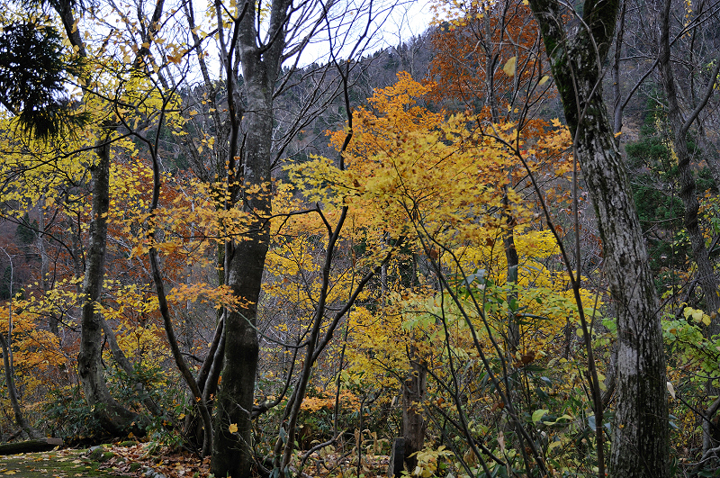 image0214