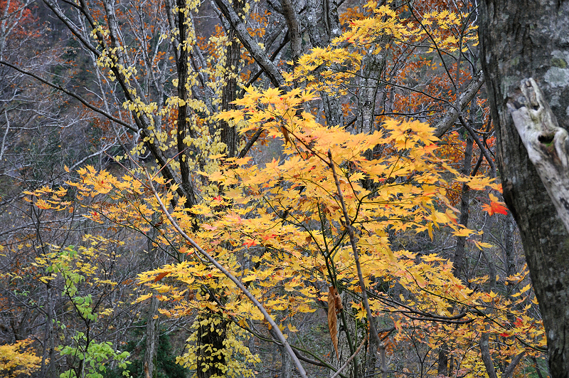image0216