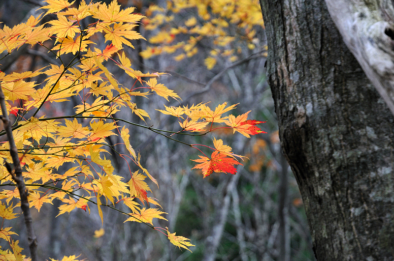 image0217