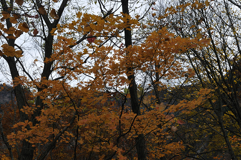 image0220