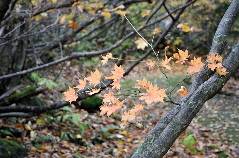 image0221