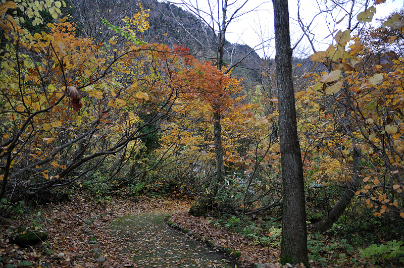 image0222
