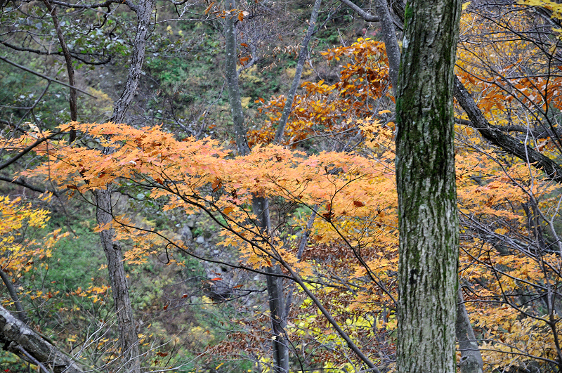 image0223