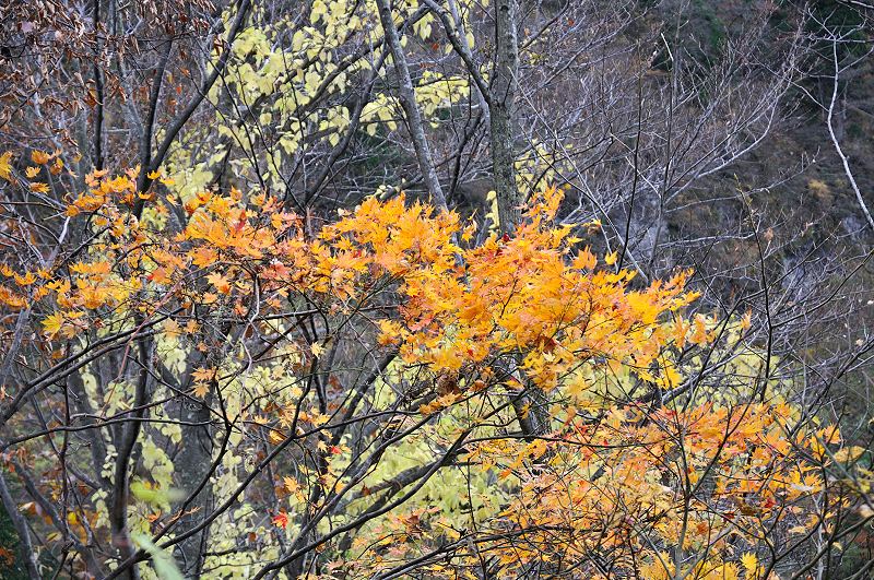 image0224