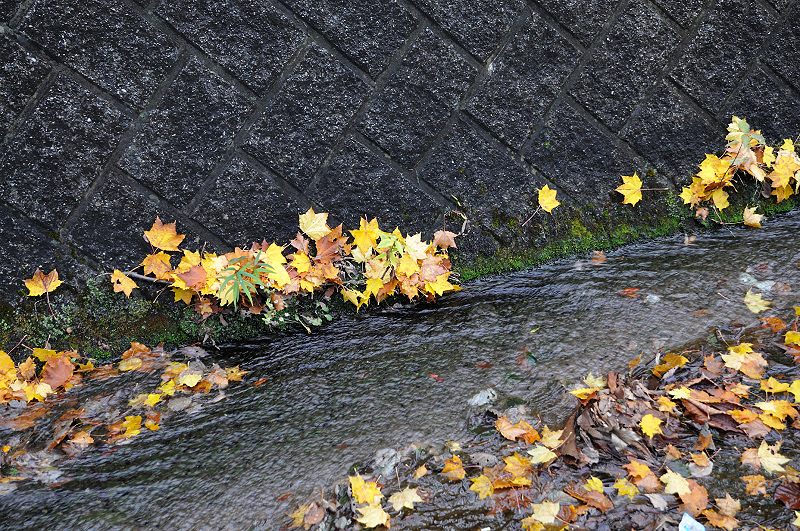 image0227