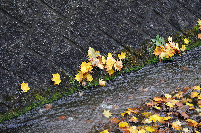 image0228
