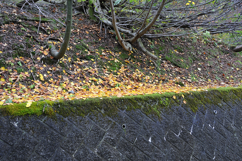 image0229