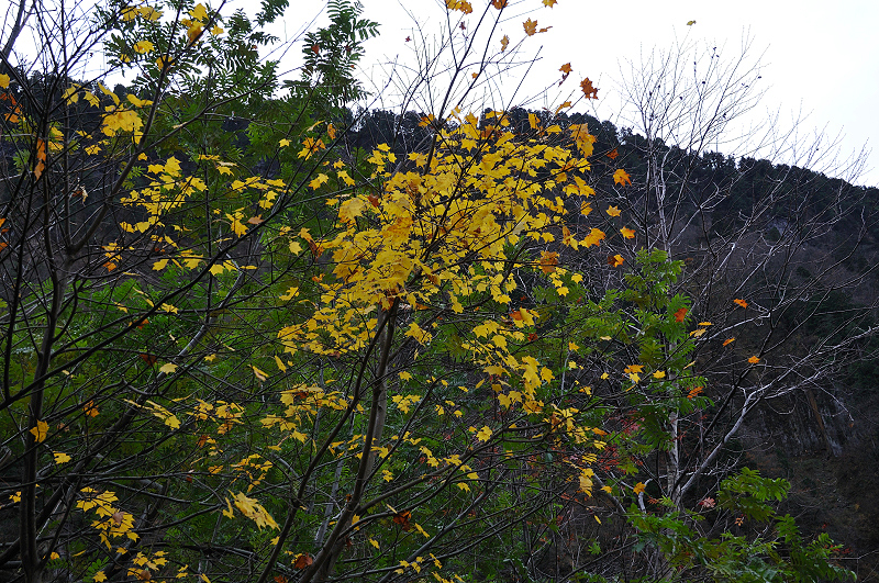 image0230