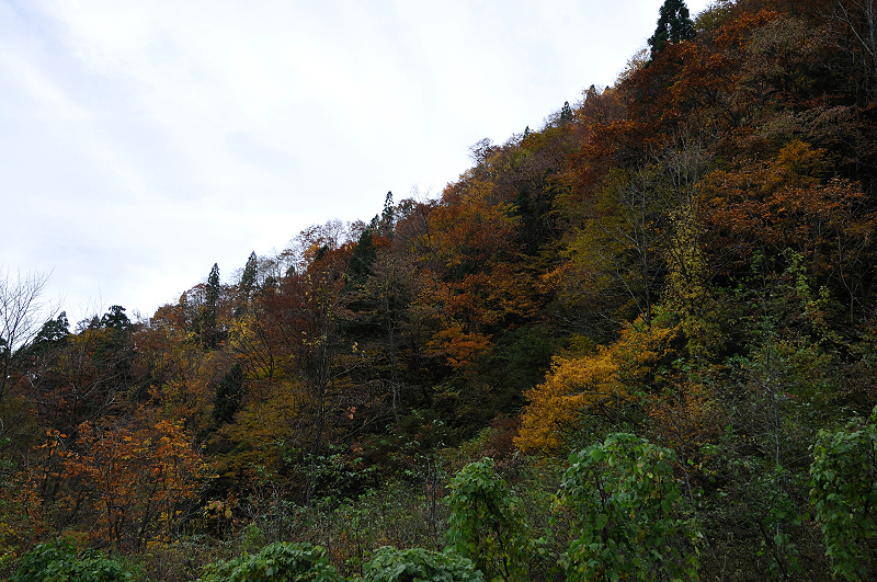 image0231