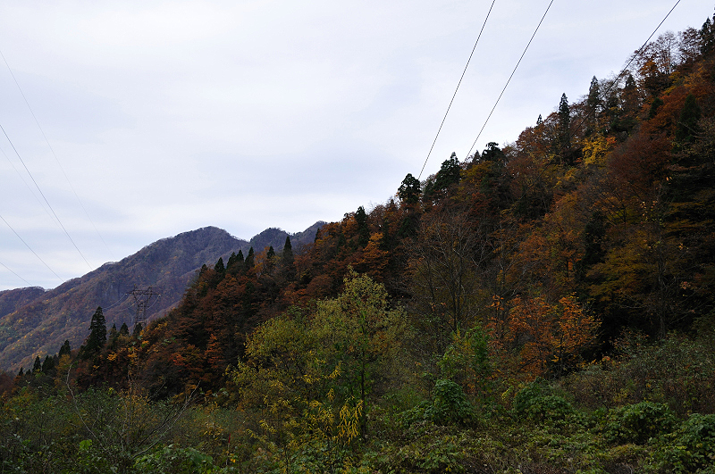 image0235
