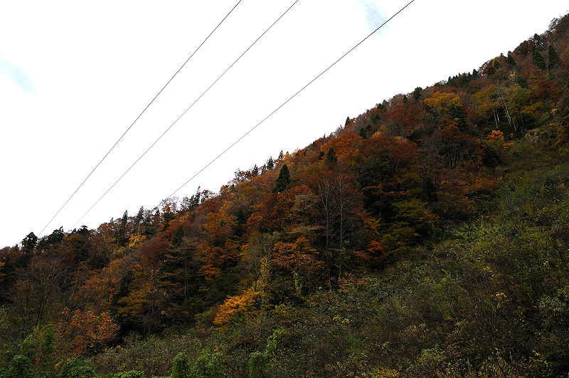 image0236