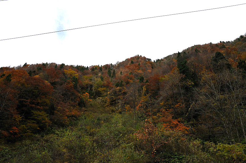 image0237