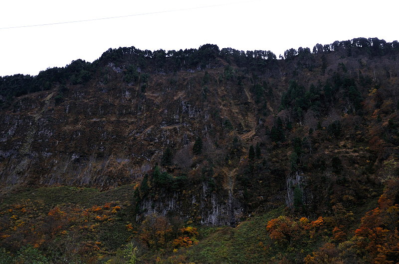 image0238
