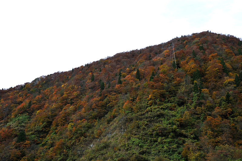 image0242