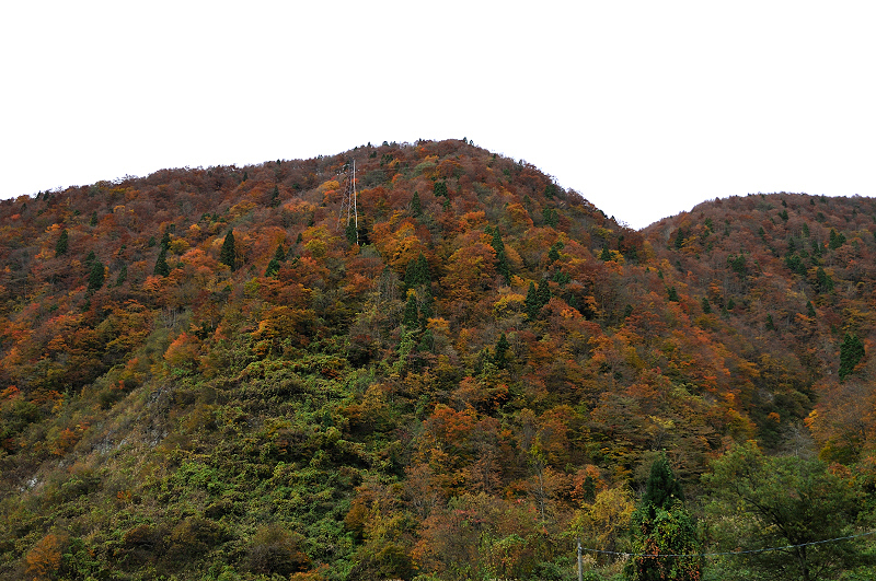 image0243