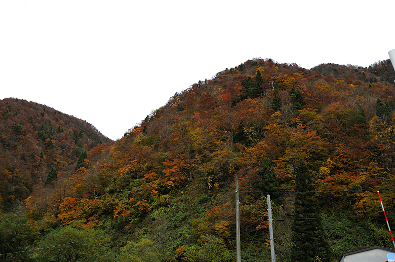 image0244