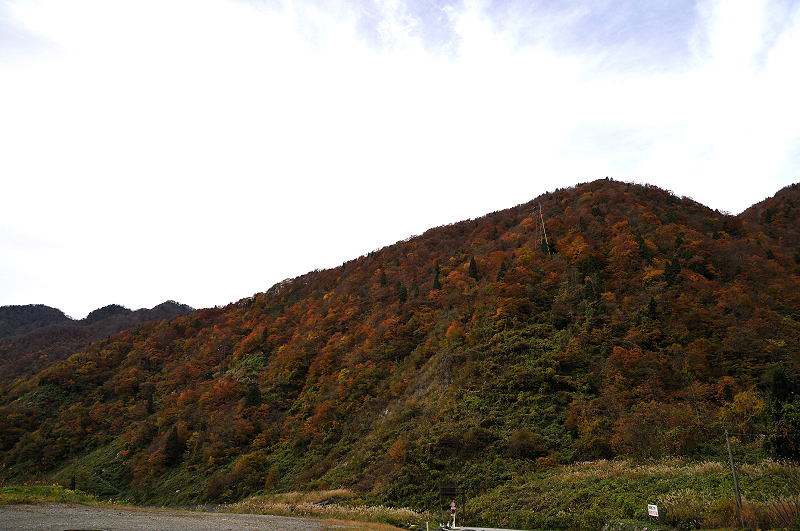 image0245