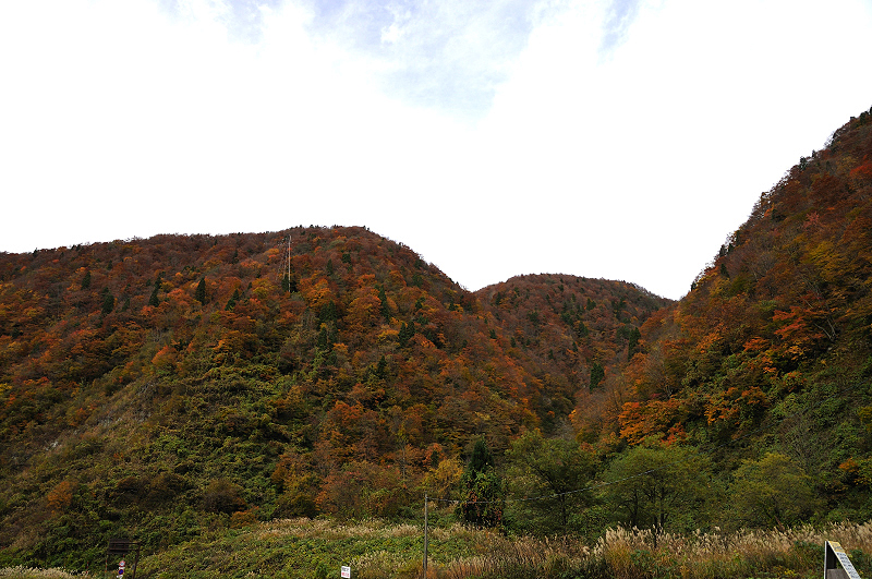 image0246