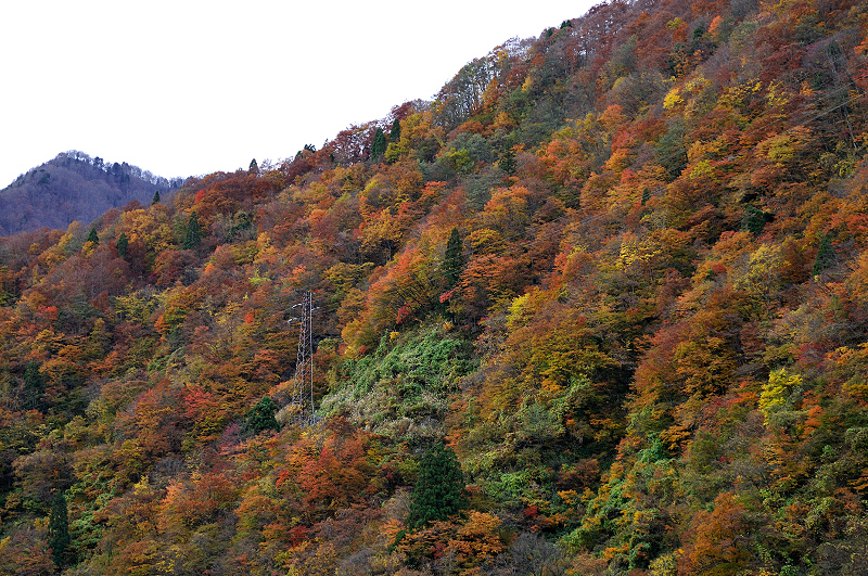image0250