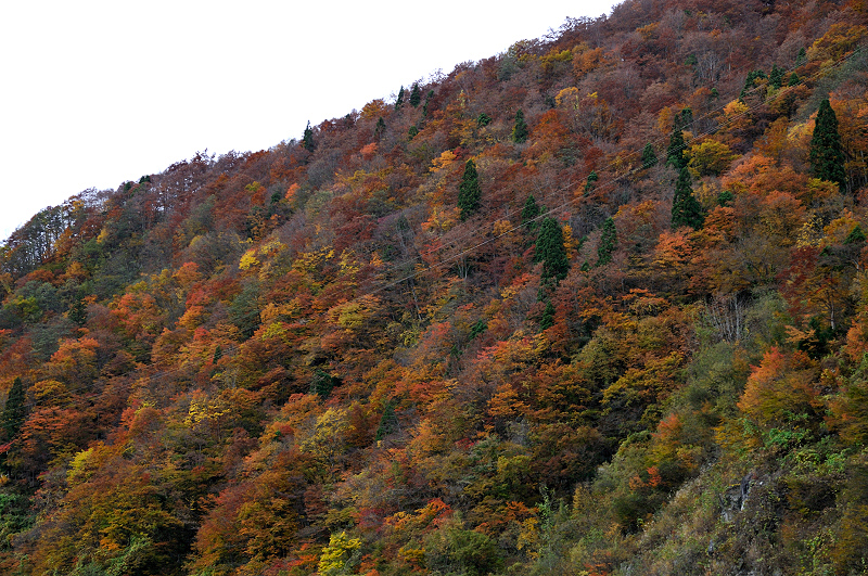 image0251