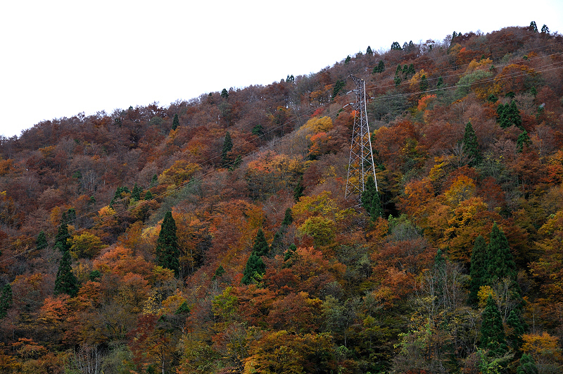 image0253