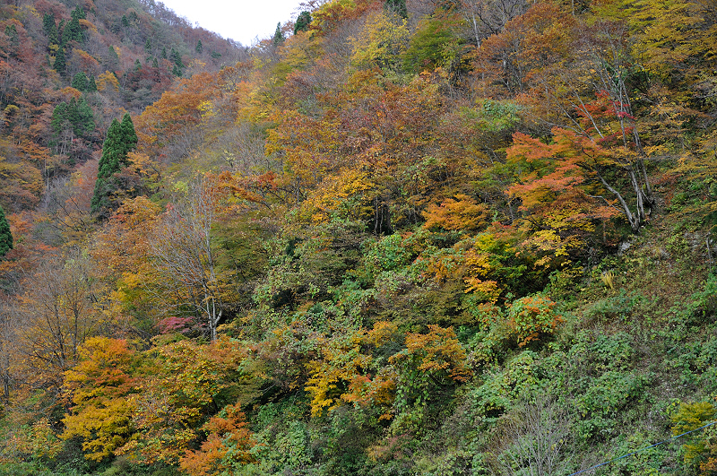 image0254