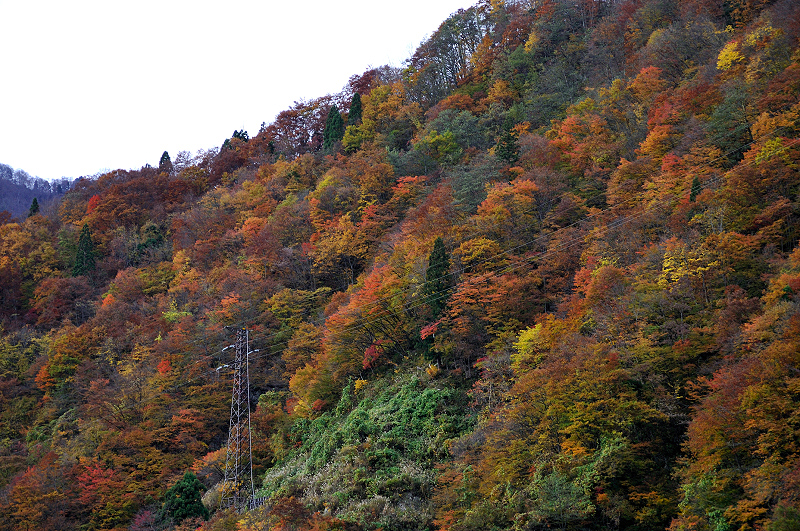 image0255