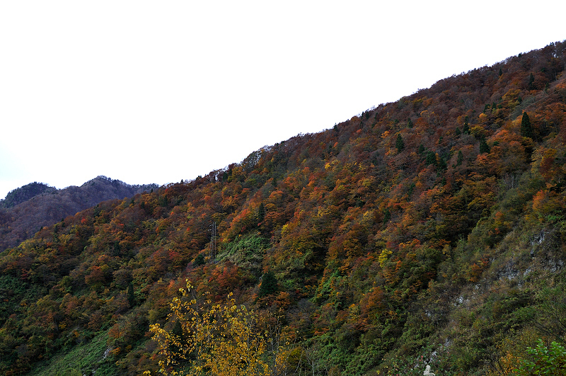 image0257