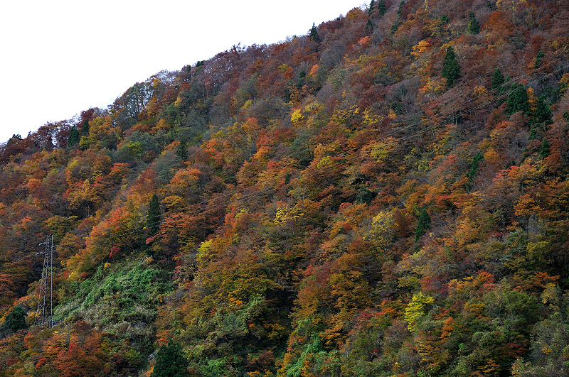 image0258