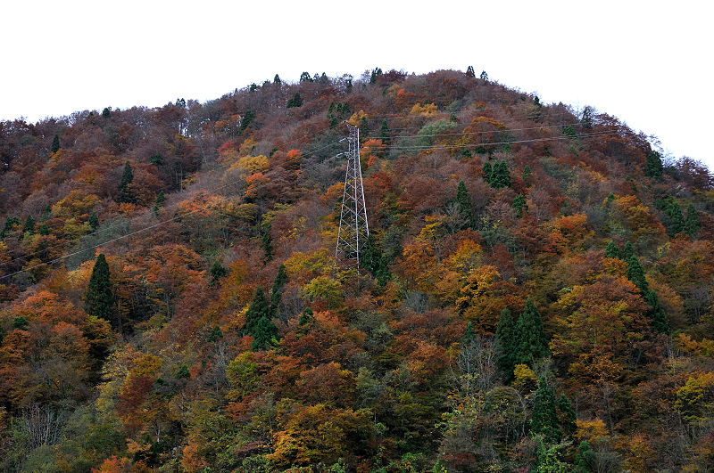 image0259