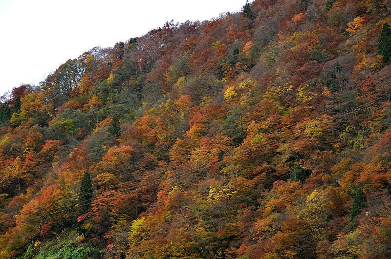 image0261