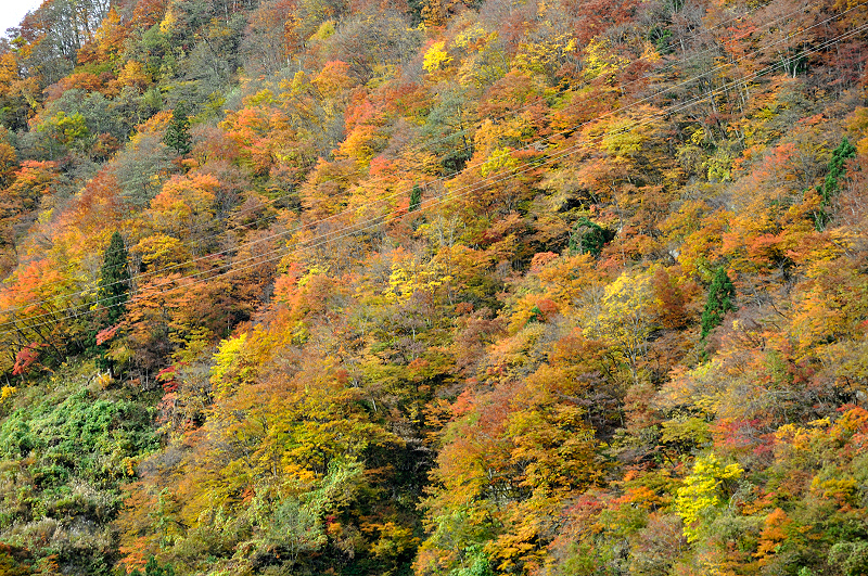 image0264