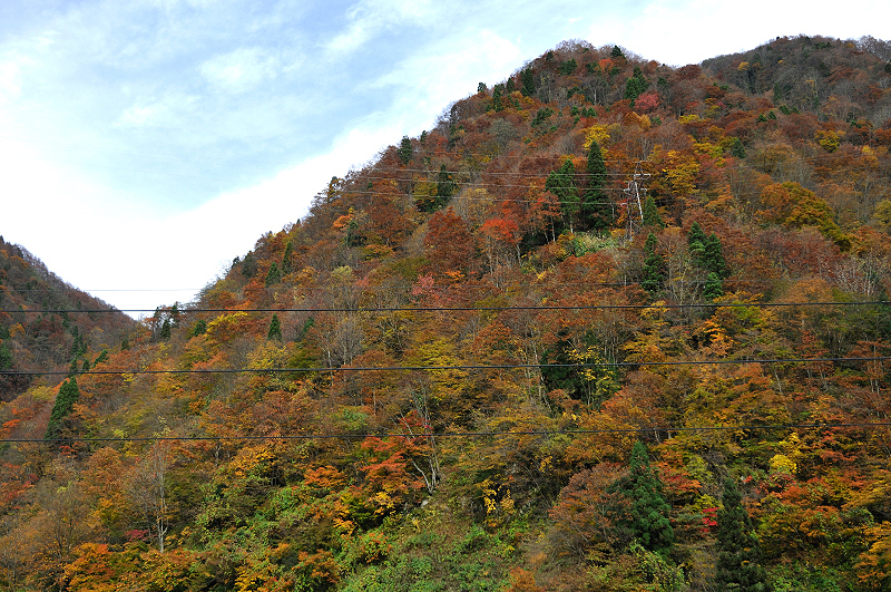 image0266