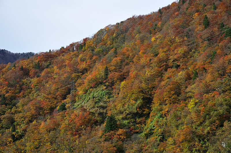 image0268