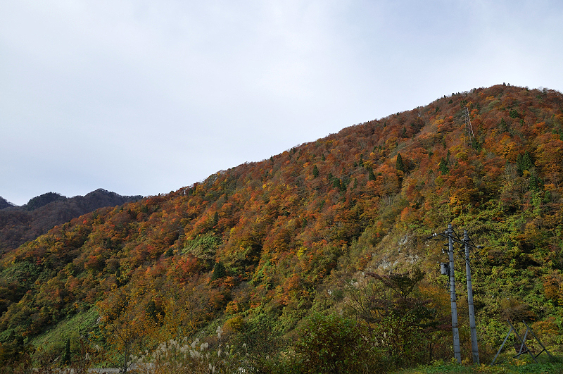 image0269