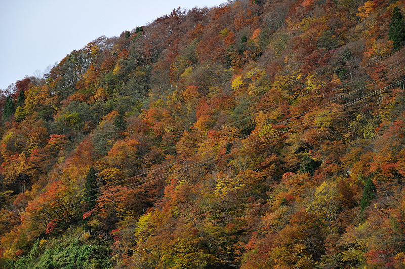 image0270