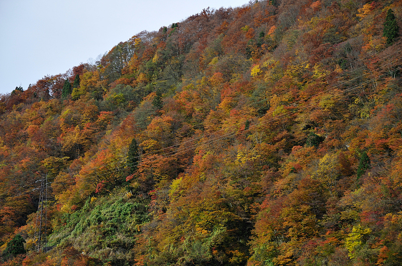 image0273